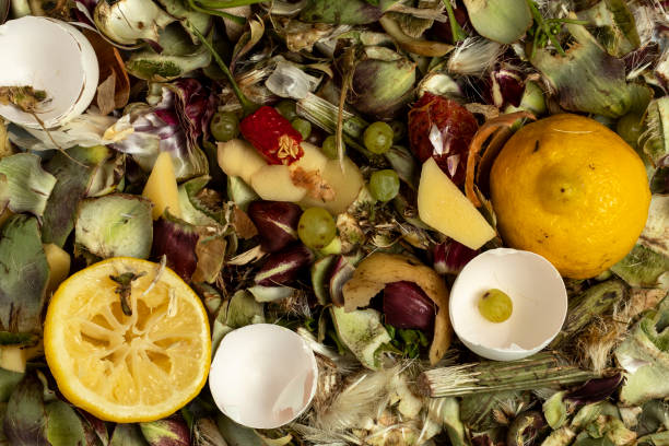 istock Pile of organic waste. 1414379760