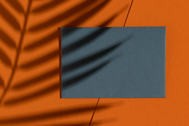 istock Palm leaf shadow on pastel blue greeting card. 1414379836