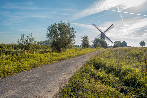 Narrow country road with a wooden hollow post mill in the Dutch province of North Brabant as a silhouette against the blue sky. It is early in the morning of a windless day in the summer season.
