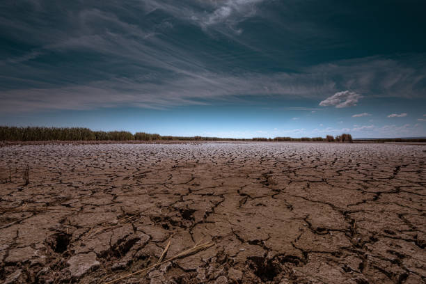 dry lake as a sign of environmental destruction dry Neusiedler See lake in Neusiedl am See in Austria lake bed stock pictures, royalty-free photos & images