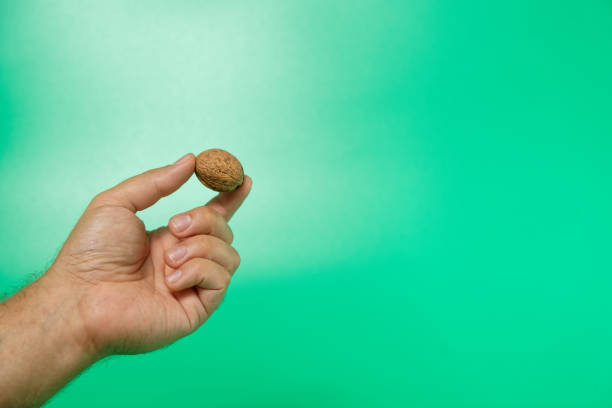 istock man's hand holding wallnut in shell on green isolated background 1414384209