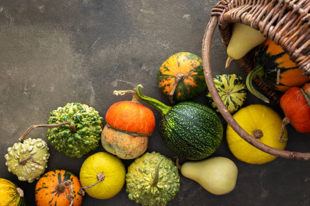 istock Pumpkins on a green background 1414389307