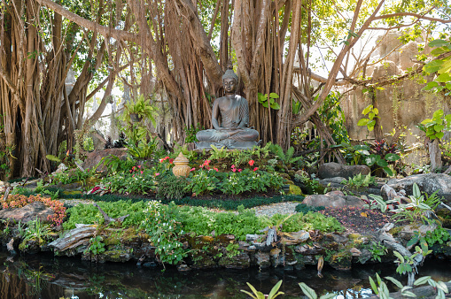 Small island in the jungle in a pond full of plants and flowers on which a stone Buddha rests
