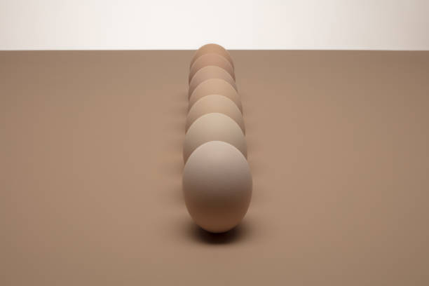 Beige nature chicken eggs on a beige background. Seven eggs lined in a row.