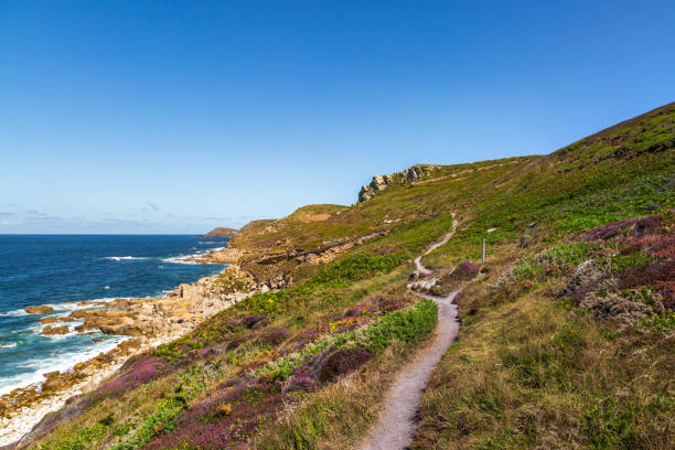 istock A view along the heather lined coastal path in west Cornwall with a blue sky overhead 1414403447