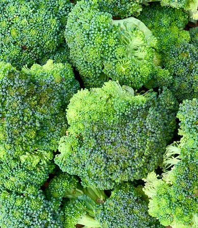 Organic and fresh broccoli. Products close-up