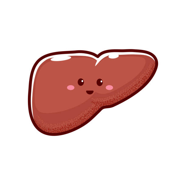 536 Cirrhosis Of The Liver Cartoon Illustrations & Clip Art - iStock