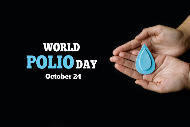 World Polio day. October 24. Adult hands holding Blue drop is symbol of polio vaccine. Poliomyelitis is disabling and life-threatening disease caused by poliovirus World Polio day. October 24. Adult hands holding Blue drop is symbol of polio vaccine. Poliomyelitis is disabling and life-threatening disease caused by poliovirus. polio vaccine stock pictures, royalty-free photos & images