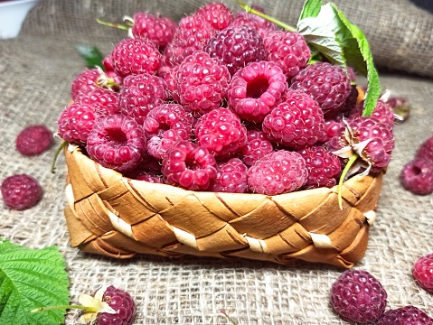 Basket of ripe raspberries on a table with burlap. The concept of a healthy lifestyle and diet.