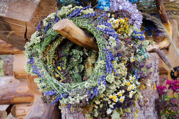 istock herbs and plants used in traditional medicine. 1414408087