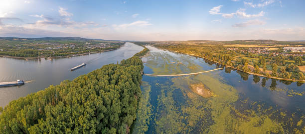istock Drone image over the Rhine with record low water level in drought summer 2022 1414410139