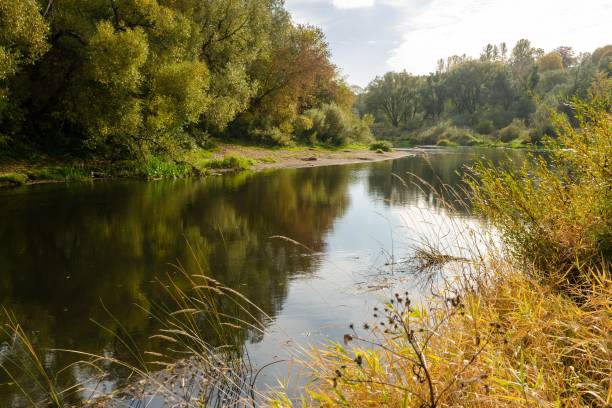 istock Reserve current on the autumn forest.  autumn nature 1414411659