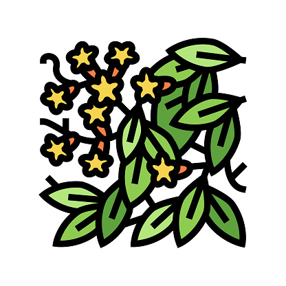 bignonia capreolata color icon vector. bignonia capreolata sign. isolated symbol illustration