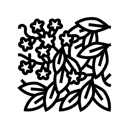 bignonia capreolata line icon vector. bignonia capreolata sign. isolated contour symbol black illustration