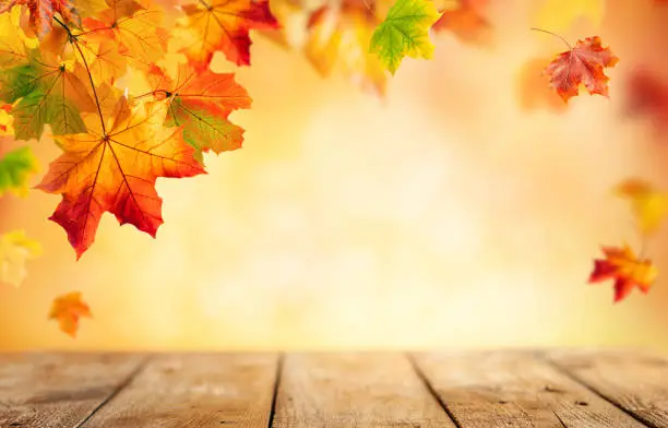 Autumn concept with red-yellow maple leaves. Wooden table and colorful falling leaves over blurred background.