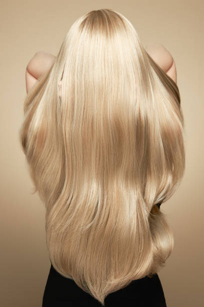 Back view of woman with long beautiful blond hair stock photo