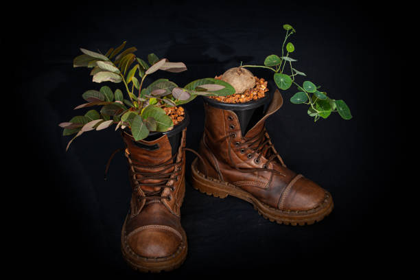 istock Plant the plants in the boots. 1414417504