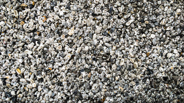 istock Brick wall of gray background texture. 1414419505