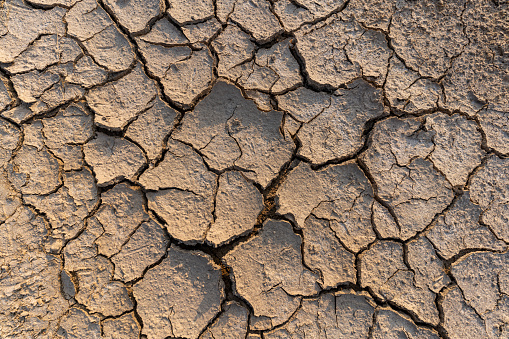 Dry and cracked land texture
