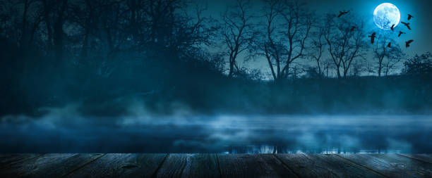 mystic natural halloween background for party invitation card, shining moonlight on wooden planks, misty lake and trees with copy space for product presentation, halloween party concept banner fondo místico natural de halloween para tarjeta de invitación a la fiesta, luz de luna brillante en tablones de madera, lago brumoso y árboles con espacio de copia para la presentación del producto, banner de concepto de fiesta de halloween