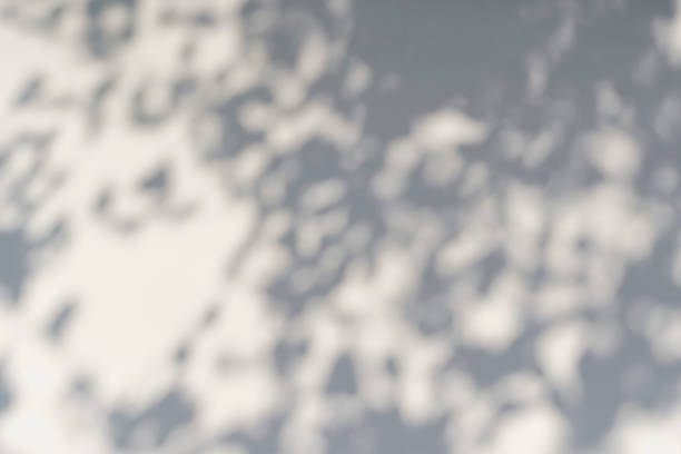istock Shadow overlay effect for photo. Shadows from tree leaves and tropical branches on a white wall in sunlight. 1414425278