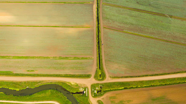 istock Agricultural land with green crops from above 1414427008