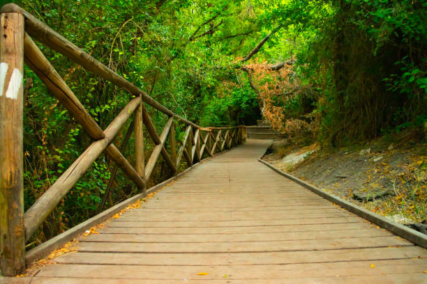 istock A beautiful park with wooden wall and ground 1414431484