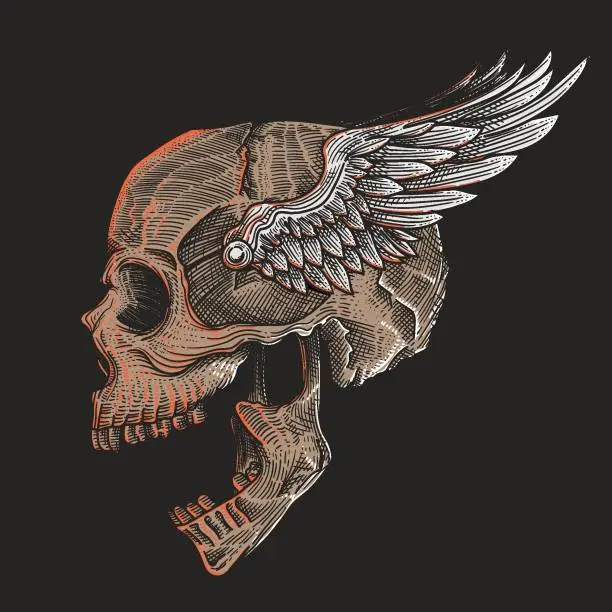 Vector illustration of vintage skull head with angel wings