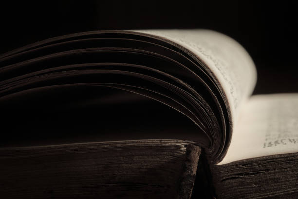 istock Open pages of an old book. 1414434731