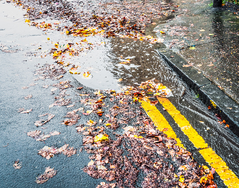 Leaves and mulch blocking up a drain on a street in Glasgow following heavy autumn rain in October.
