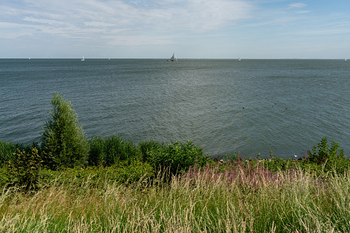 Uitzicht over het IJsselmeer met zeilschepen op een zomerse dag