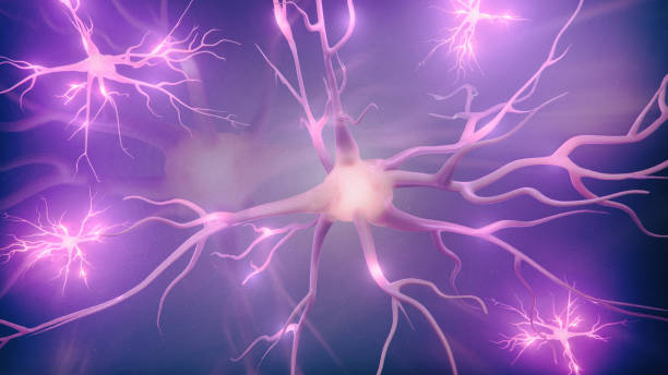 istock Visualization of neurons and neural network with signals 1414439321