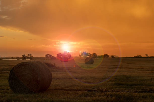 istock Sunrise over the field. Farm field 1414439536