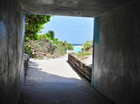 Foot path to the beach