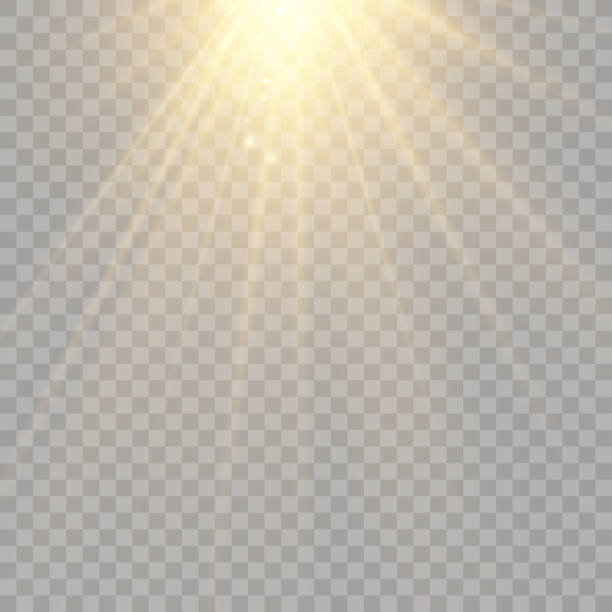 ilustraciones, imágenes clip art, dibujos animados e iconos de stock de vector transparente luz solar especial efecto de luz de destello de lente. brillante y hermosa estrella. luz de los rayos. - rayo de luz