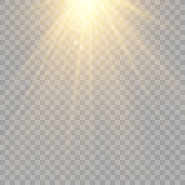 ilustrações, clipart, desenhos animados e ícones de luz solar transparente vetorial efeito de luz de sinalização especial da lente. brilhante estrela bonita. luz dos raios. - sunbeam