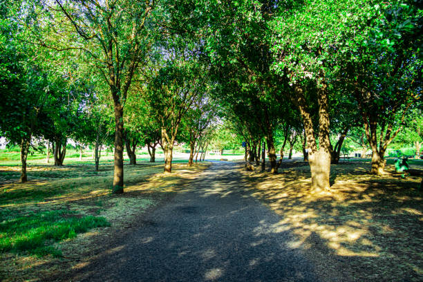 Pathway by the lake of Starnberg in Germany on a summer day