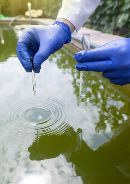 istock Water sample. Bacterial control of pool water. Checking the amount of algae, harmful substances and chemicals. Laboratory study of water from artificial reservoirs. Taking liquid into a test tube 1414453659