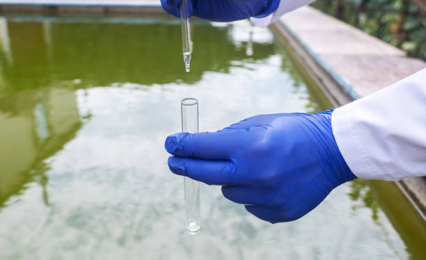 istock Water sample. Bacterial control of pool water. Checking the amount of algae, harmful substances and chemicals. Laboratory study of water from artificial reservoirs. Taking liquid into a test tube 1414453787