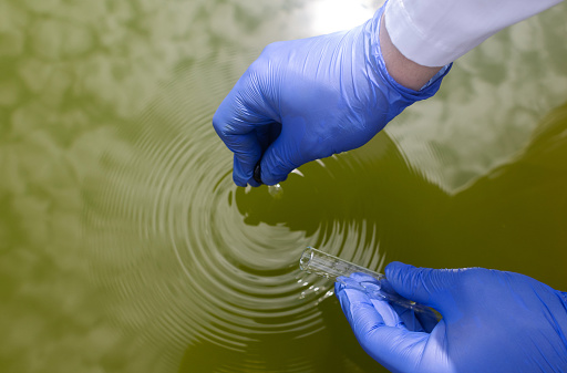 Checking the condition of rivers or natural lakes. Water test for chemicals, bacteria, harmful substances, radiation. Collection of material in a test tube for further research. Water sample.