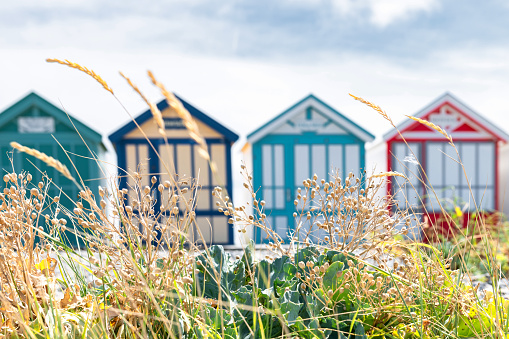 colorful traditional wooden beach huts at the beach in Cayeux-sur-Mer at the atlantic coast, defocused in the background