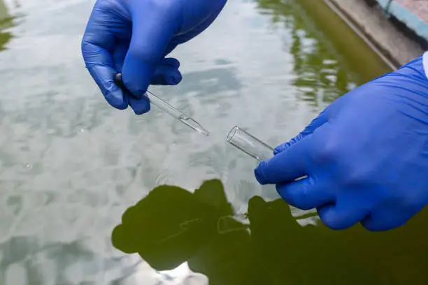 Photo of Water sample. Treatment facilities. Quality control of water that has been purified and processed. The laboratory assistant collects material for research. Liquid in a test tube. Sewage treatment