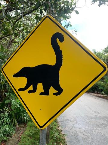 Warning sign for raccoons and coatis in Puerto Morelos, Quintana Roo