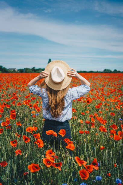 jovem mulher em pé em um campo de flores de papoula - poppy field flower meadow - fotografias e filmes do acervo