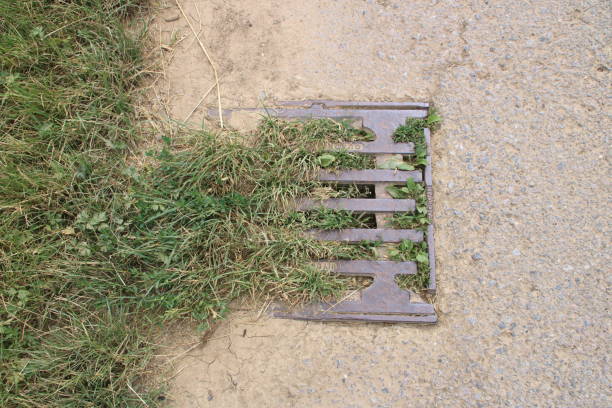 istock Inlet shaft for road drainage clogged by grass 1414457923