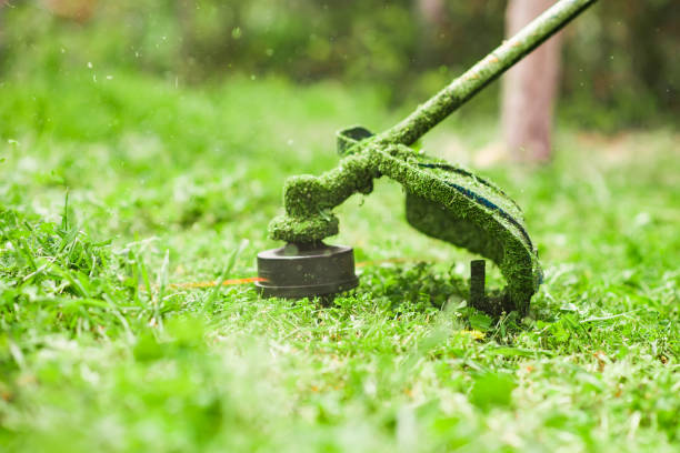 giardinaggio. tagliare il prato con tagliaerba a batteria, molatrice, - electric trimmer foto e immagini stock