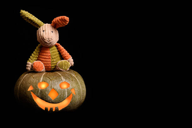 istock Cool toy rabbit sitting on Halloween carved pumpkin Jack o' lantern on black solid color background 1414465960