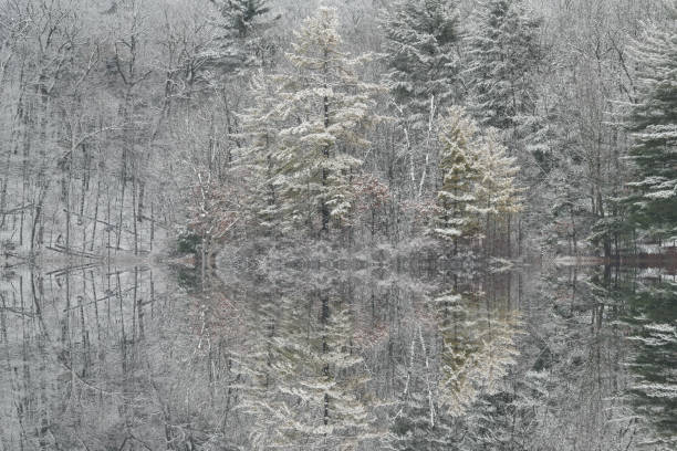 istock Winter Reflections, Snow Flocked Hall Lake 1414466340