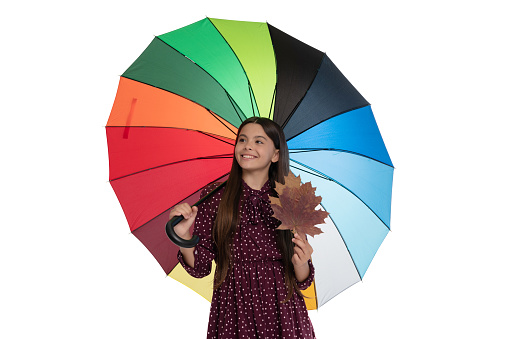 happy child with colorful umbrella for rainy weather and autumn maple leaf isolated on white, september.
