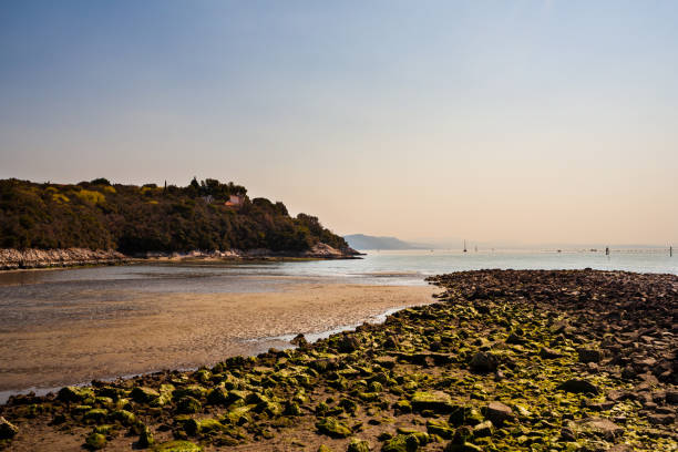 View of the mouth of the Timavo river, Italy